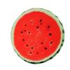 16" Fruit Design Couch Chair Pillow With Removable Cover And Soft Cushion