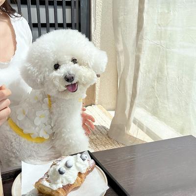 Frühlings- und Sommerwelpenkleidung dreidimensionale Schmetterling atmungsaktives Netz Smiley-Face Sling Teddy als Bär Katze Haustierkleidung