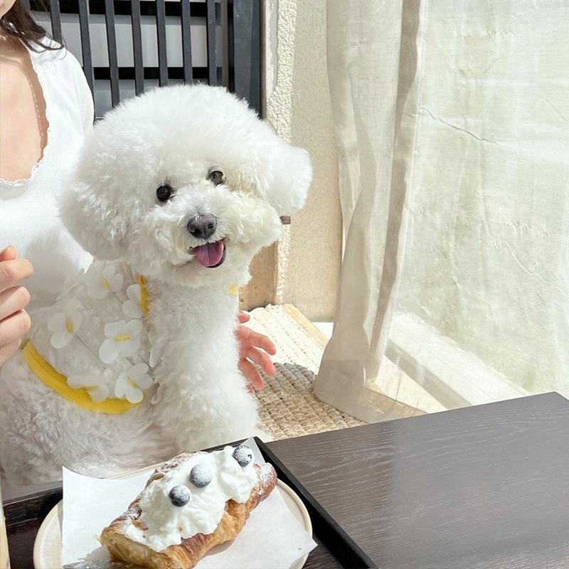 

Spring and summer puppy dog clothes three-dimensional butterfly breathable mesh smiley face sling teddy than bear cat pet clothes XS (recommended weight 1-1.5kg)