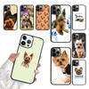 Yorkie Yorkshire Terrier Phone Case For iPhone 17 Air 15 16 11 12 13 14 Pro Max Cover For iPhone 17 Air Max Plus Fundas