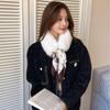 Exquisite Women's Korean Style Plush Scarf - Versatile Neck Warmer for Autumn and Winter