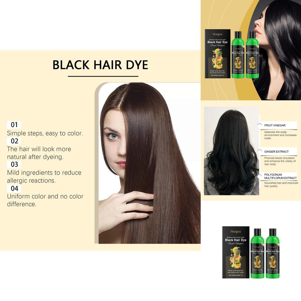 Hoegoa Black Ab Hair Color Treatment Set With Nourishing Plant Extracts For Smooth Shine