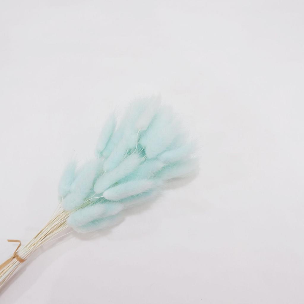 Small Reed Dried Flower Bouquet Small Whisk Small Pu Reed Reed Dried Flower Rabbittail