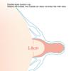 Silicone Nipple Shield Protector Soft Nursing Breastfeeding Nipple Shield for Flat Inverted Nipples