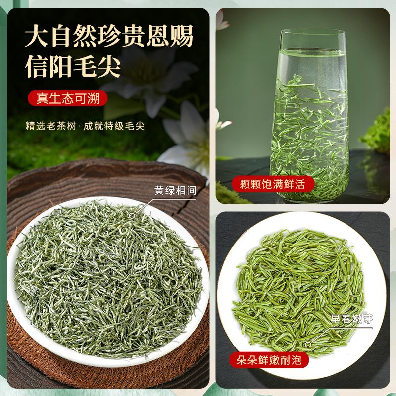 Jieying Green Tea Mingqian Xinyang Original Maojian 2026 New Tea Spot Tea Gift Box 250g High End Free