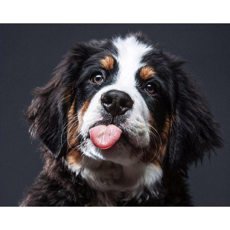 

DIY 5D алмазная живопись животное полная квадратная/круглая Алмазная вышивка картина стразы мозаика собака вышивка крестиком домашний декор подарок Full Round 20x25CM