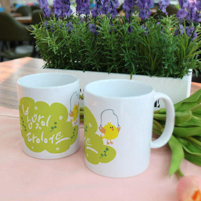 cg997-Design Mug 2p-Spring Diet