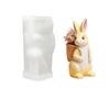DIY Easter Bunny Mold 3D Resin Ornament Mold Easter Casting Supplies  for Plaster Aromatherapy
