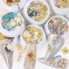 Dolphin Bay Nail Art: Shell Pieces, Rhinestones, Pearls, and Metal Chains Mixed Decorations