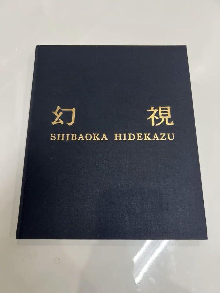 [USED] Vision SHIBAOKA HIDEKAZU