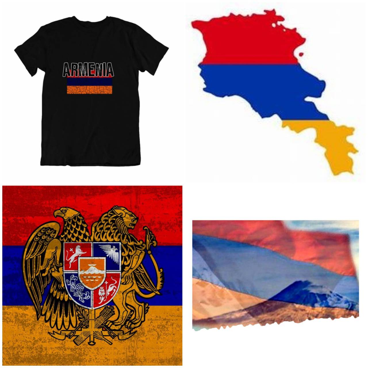 Футболка Армения ММА кикбоксинг UFC муай тай с национальным флагом страны — фото 4