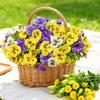 Decorațiuni pentru casă – Flori decorative şi coroane de flori