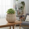 Modern beige barrel-shaped plant pot