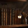 Innen-Akzentbeleuchtung für Nischen Geister-Bücherregalleuchte, Dekorative Retro-Laterne Bibliotheksdekor, Warme LED Dunkel-Akademisches Zimmerdekor Leselampe