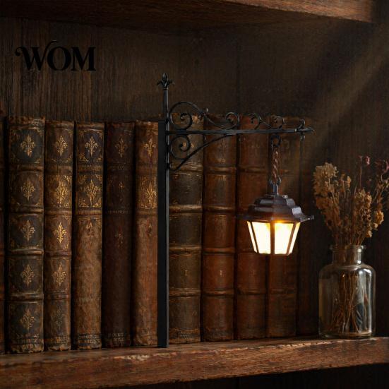 Innen-Akzentbeleuchtung für Nischen Geister-Bücherregalleuchte, Dekorative Retro-Laterne Bibliotheksdekor, Warme LED Dunkel-Akademisches Zimmerdekor Leselampe