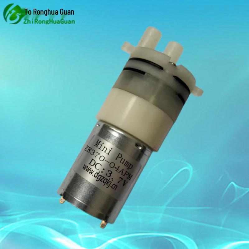 Ronghua Miniature Electric Self-Priming Water Pump for Household Use