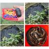 Mesh for Fishing Net/Cage/Tackle Crayfish Catcher Landing/Cast Net Folding Cast