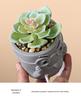 Succulent Cartoon Characters: Cute Creative Desktop Ornaments