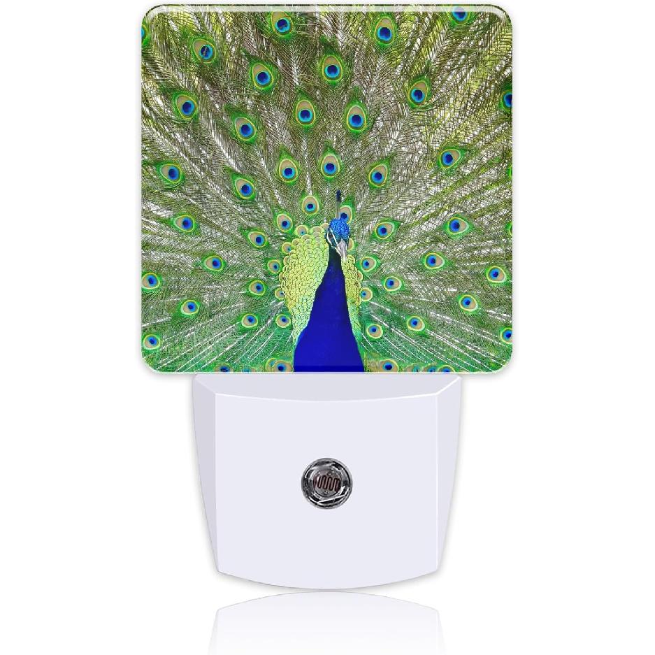 Night Light for Kids Girls Boys, Magnificent Peacock LED Night Light Plug Into Wall with Dusk To Dawn Sensor for Room Decor, Hallway, Kitchen,