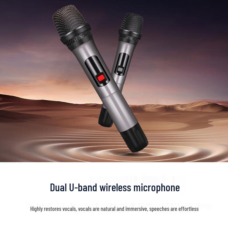 SAST 8-inch Portable Outdoor KTV Trolley Speaker CN plug (adapter included)