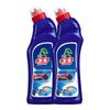Shuiweishi Powerful Descaling Toilet Cleaner Twin Pack