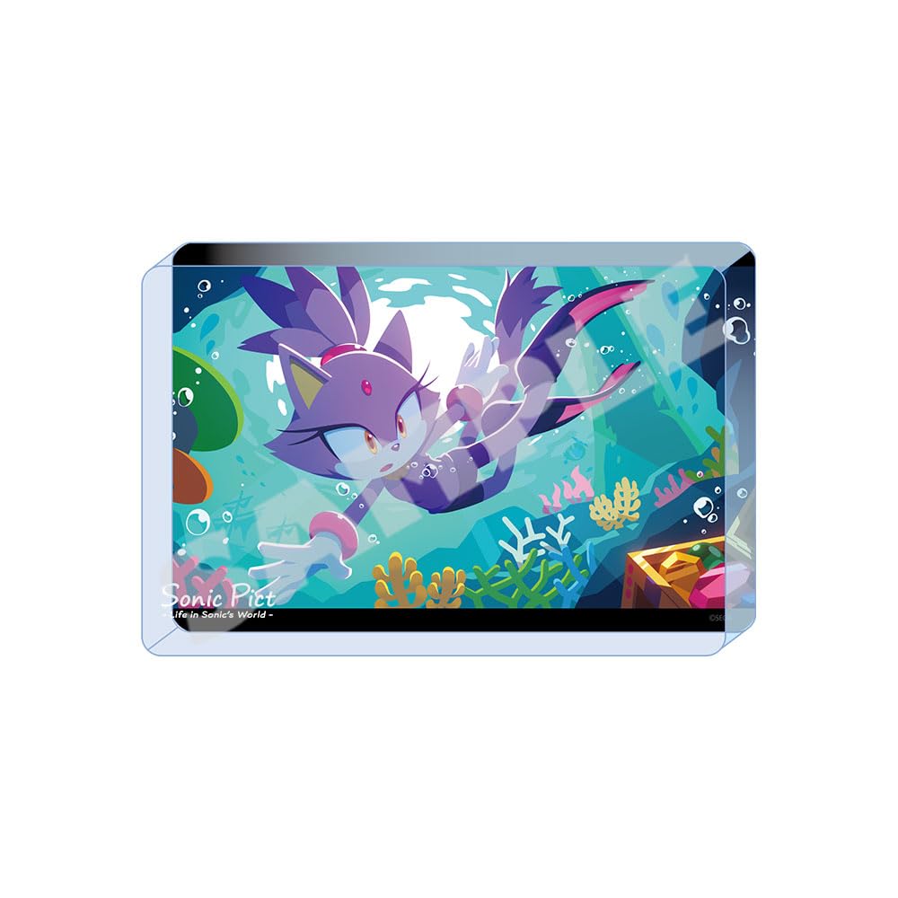 

Акриловый блок август 2023 «Соник Ёж» (СОНИК ПИКТ) Коралловое приключение синий