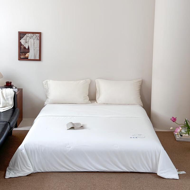 

Southern Life Pearl Protein Washed Cloud Soft Summer Quilt