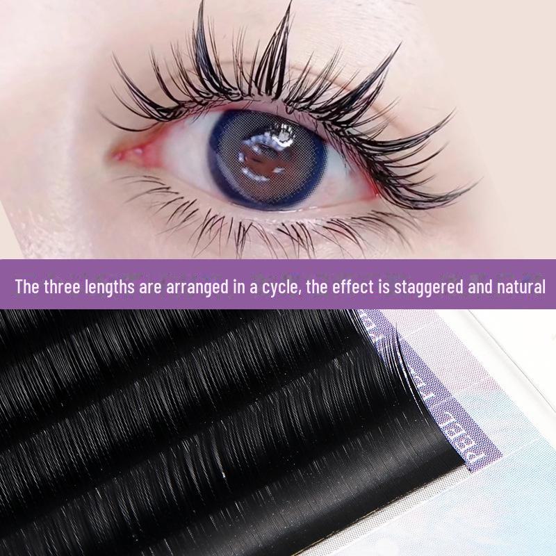 0.07 Gene altoite cu desene animate Camellia: Gene false thailandeze moi, cu o singură rădăcină, ondulate în stil chinezesc.