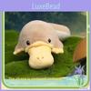 Platypus Toy Plush Animal Doll Duck Doll Holiday Gift Ornament Pp Filling Cotton