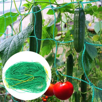 Bahçe ve Çevre Düzenlemesi – Bitki desteği