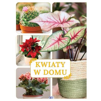 Kurgu dışı – Sanat