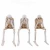 Realistic Halloween Skull Figurines Spooky Atmosphere Skeleton Decoration  Festival Decoration