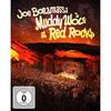 Concert - Muddy Wolf At Red Rocks - 2dvd - Import - Dvd Zone 2 - Standard Edition