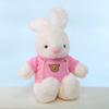 Cute Teddy Bear Stuffed Toy - Great Gift for Girls On Valentine's Day or Birthday