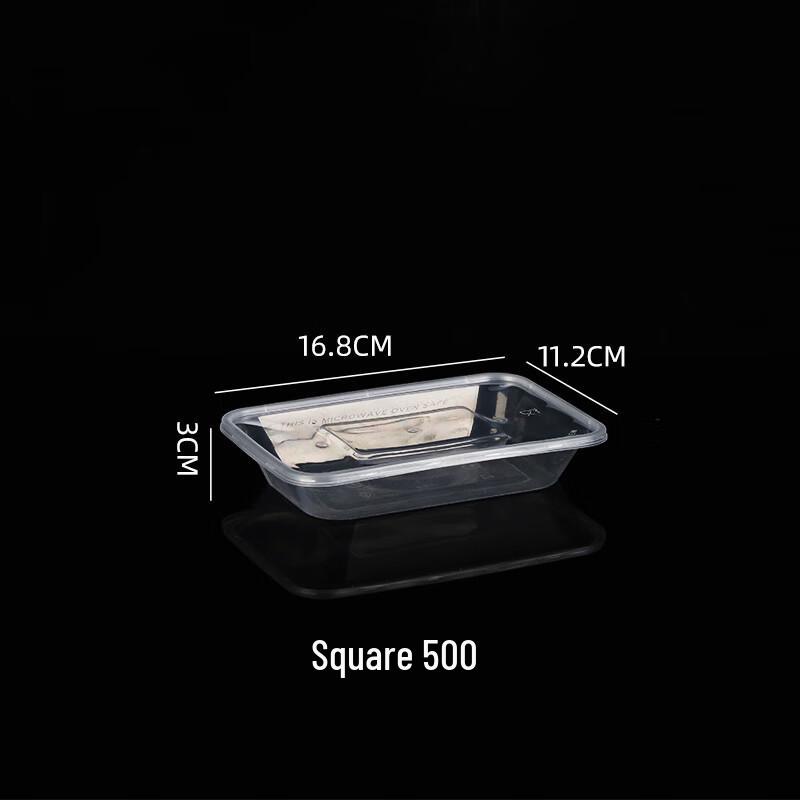 Disposable Transparent Plastic Takeaway Container