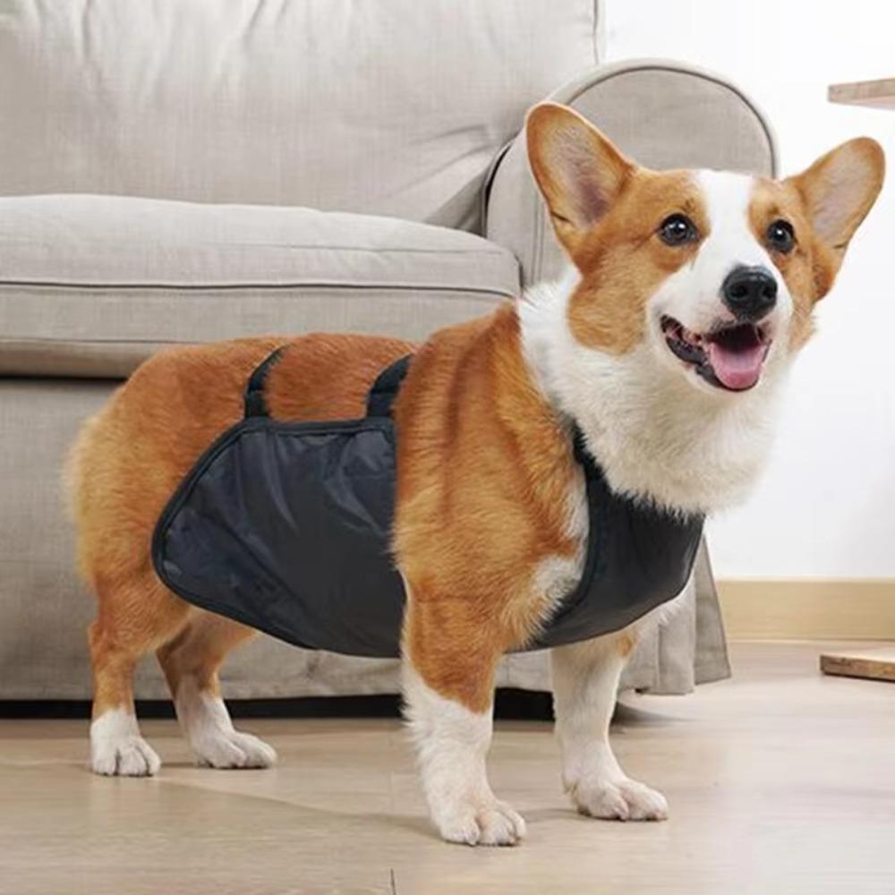 Anti-dirty Pet Dog Bellyband Clothes Breathable Pet Vest Dog Protective Belly Cover  Pet Supplies