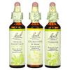 Clarity Of Mind Focus Enhancement Kit, 3 Droppers, 20Ml (0.7Fl Oz) Each