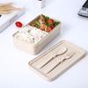 Portable Wheat Straw Lunch Boxs Containers with Compartments Knife Fork Picnic Food Container Microwave Bento Box