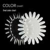 Oval Nail Art Display Board - Polish & Tip Color Palette Mold