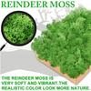 Neue 50/30/10g Künstliche Grüne Pflanzen Ewiges Leben Moos Gras Heim Garten Dekoration Mini Landschaft Künstliche Blume DIY Bastelgeschenke