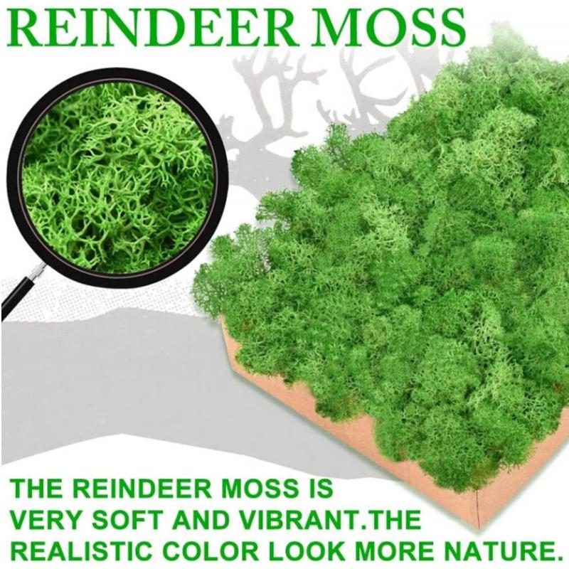 Neue 50/30/10g Künstliche Grüne Pflanzen Ewiges Leben Moos Gras Heim Garten Dekoration Mini Landschaft Künstliche Blume DIY Bastelgeschenke