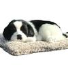 TASINO Border Collie Plush Realistic and 26 X 18 Looks Just Like the Life Toy, Cute, Cm,