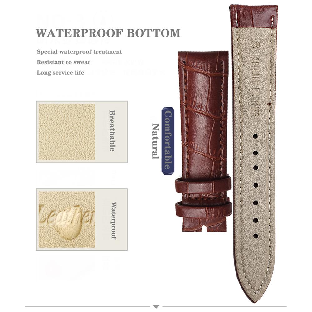 Premium Genuine Leather Watchbands 12/14/16/18/19/20/21/22/24 mm Watch Band Strap High Quality Wrist Belt Bracelet + Tool 3