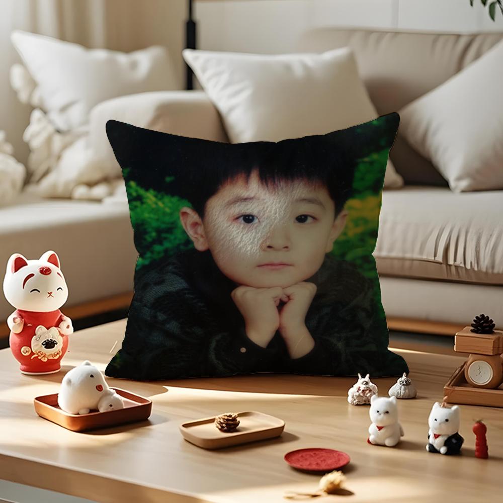 LinYi Chinese Actor Cushion Cover Anti-dustmite Pillowcase Invisible Zipper Silky Short Plush Sofa Cushion Cover