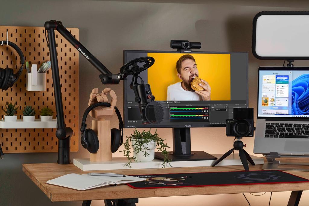 AVerMedia AM350 Live Streamer Mic 350 Condenser Microphone USB-C Plug-Play Professional