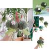 Cute Broccoli Plush Toy Vegetable Doll For Claw Machine Wholesale