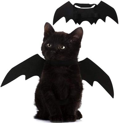 Katten – Kleding voor katten