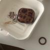 INS Brown Amber AirPods Pro1 Generation Earphone Case for AirPods 1 Generation Pro1 Generation Earphones
