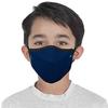 Wildcraft SUPERMASK W95+ Reusable Polyester Outdoor Respirator 2P : POPCORN : BLU_POSDN : S