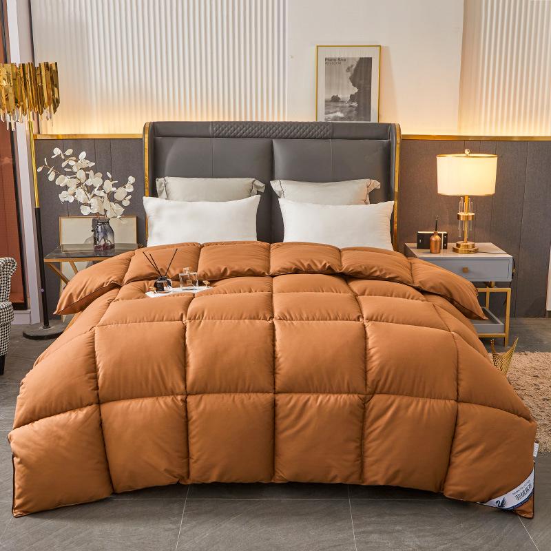 Luxury Pure Cotton Down Velvet Quilt – Thickened for Winter, Ideal for Five-Star Hotels, Perfect for Spring and Autumn